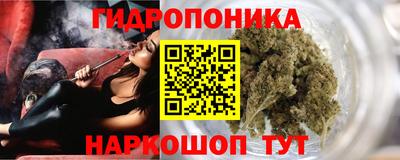 наркотики Камышлов