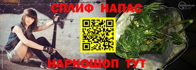 СК Кандалакша
